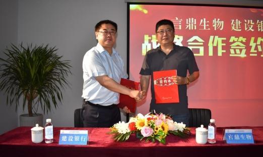 今日头条 数字山东：清风徐来，花自盛开——强强联合再添新同伴