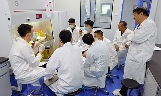 康健工业——尊龙凯时一直承继行稳致远