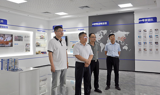 青岛中德生态园向导一行莅临尊龙凯时集团，探索大康健工业相助之路