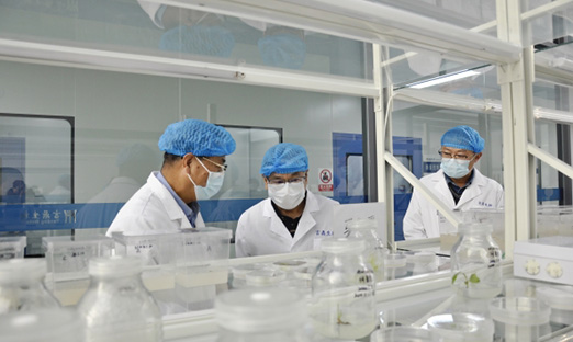 ；锛攀紫蒲Ъ依蠲饕逡恍械椒米鹆奔，共商相助新机缘