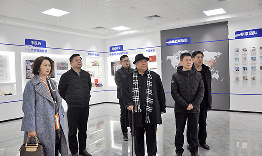 山东省海促会一行莅临尊龙凯时集团旅行