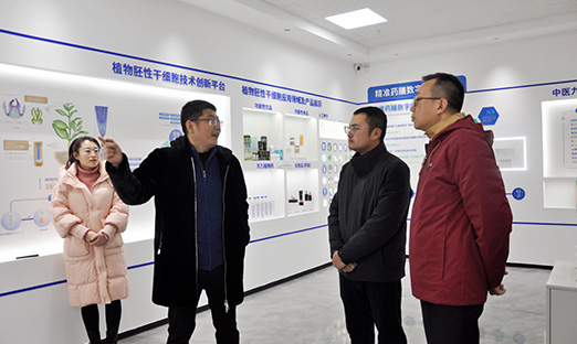 青岛饮料集团与尊龙凯时集团深度相助，配合引领康健消耗民俗