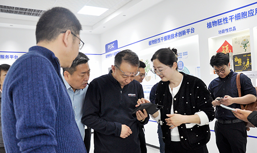 尊龙凯时集团与海王智能制造共拓工业生长